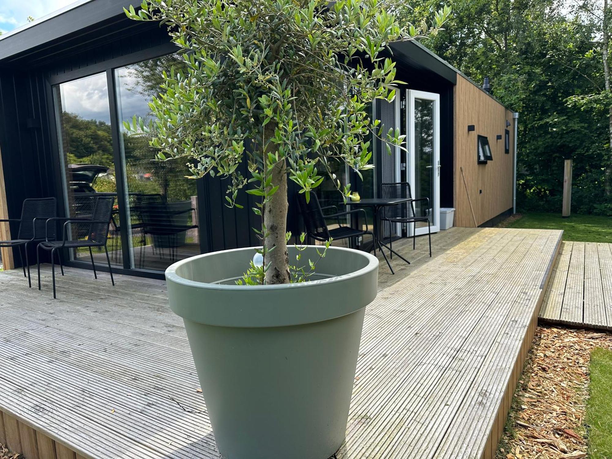 Chalet De Blauwe Regen Balkbrug Eksteriør billede